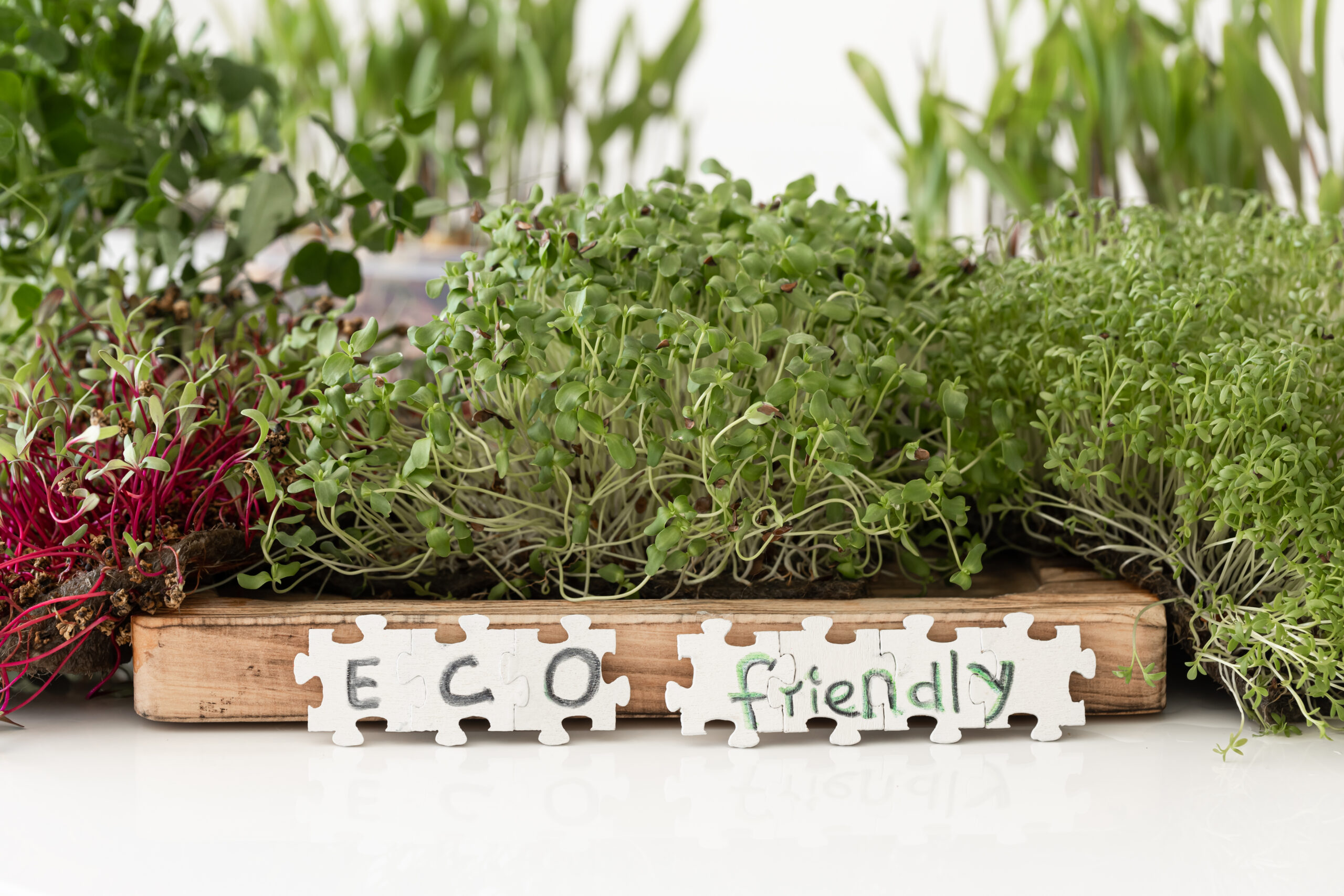 Soluzioni eco-friendly